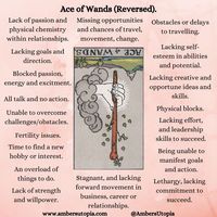 The Ace of Wands in the tarot deck marks the beginning of enthusiasm, passion, energy, and forward movement. As a Tarot card, these can describe moments in people's career as being in flow, and that excitment, joy, and spontaneous energy start to ignite and break free. #Tarot #SuitofWands #AceofWands #Tarotcardmeanings #tarotcards #tarotmeanings.