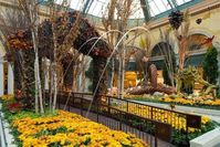 Bellagio Conservatory & Botanical Gardens is one of the very best things to do in Las Vegas