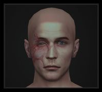 FACE SCARS, EYES PRESETS 01-03 | Patreon