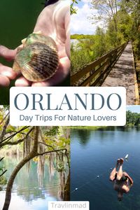 Orlando Florida may be known for theme parks and thrill rides, but there are plenty of things to do for nature lovers. These amazing day trips from Orlando will help every nature loving traveler to find their thrill in the great outdoors. #Orlando #Florida