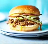 Slow cooker pulled pork recipe