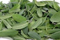 14 Innovative Ways To Use Sage Leaves