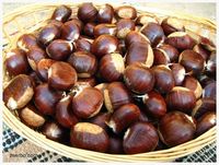 Chestnuts