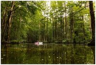 Everything You Need to Know About Kayaking at Trap Pond State Park - abbyventure.com