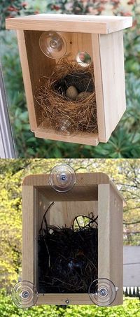 Great idea! How exceiting to be able to watch birds build their nest and hatch their babies right from my own window. Love the simple yet sturdy construction. The natural wood can be left as is, or finished if desired. The instructions gave ideas for placement, and it stuck easily to my window with very… #birdhouses