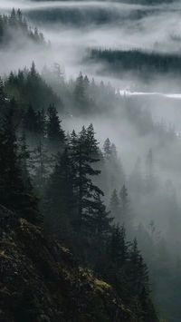 oregon dark washington travel lake ocean mountains forest dark aesthetic gray aesthetic background black gray vacation siren mermaid swimming twilight forest trees snow dark academia hogwarts slytherin woods forest twilight green