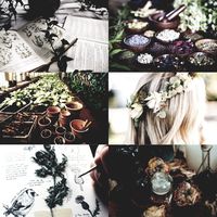 Hogwarts & Ilvermorny headcanons and stuff — Ilvermorny houses aesthetic : Pukwudgie (1)