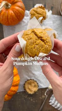 50min · 12 servings     Ingredients:   • ½ cup unsalted butter softened  • 1 ¼ cups granulated sugar  • 1 egg, room temperature  • 200 grams (about ¾ cup) sourdough discard unfed, at room temperature  • 1 cup pumpkin purée  • 1 ½ cups all-purpose flour  • 2 teaspoons ground cinnamon  • ½ teaspoon ground nutmeg  • ½ teaspoon ground ginger  • ¼ teaspoon ground cloves  • ¾ teaspoon baking powder  • ½ teaspoon kosher salt  • 1 Tablespoon turbinado sugar, for topping  Sourdough Discard Pumpkin Muffins recipe: https://www.thisjess.com/sourdough-discard-pumpkin-muffins/