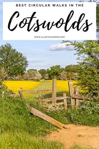 This guide to circular walks in the Cotswolds will show you the best walks in the AONB. It has detailed routes, maps, photos, and videos.