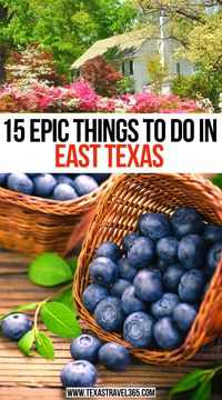 15 Epic Things to do in East Texas | Best east texas vacations | East texas getaways | east texas things to do |East Texas vacation | Visiting East Texas |best East Texas trips | Best things to do in East Texas | East Texas trips | what to do in East Texas | Best East Texas vacations| best trips in East Texas | Pretty views in East Texas | Exploring East Texas | Best East Texas Trips | #thingstodoineasttexas #besteasttexastrips #Easttexastrips