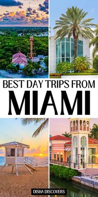 Uncover these 24 top day trips from Miami! Visit picturesque beach towns, explore unique nature reserves, and experience vibrant local culture—all just a short drive from the city. Discover your next adventure! | best day trips from miami | day trip to bahamas from miami | day trip from miami to key west | day trip from miami | miami to bahamas day trip | miami bucket list | miami travel guide | things to do in miami | weekend in miami | must do in miami | miami trave guide | what to do in ...