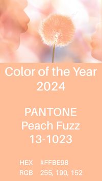 PANTONE Color of the Year 2024 - Pantone Peach Fuzz