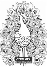 Peacock Coloring Page For Kids - Free PDF Download Coloring Page. #peacockcoloringpage #peacockcoloringpageforkids #peacock