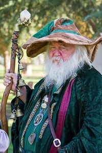 Wizard at Renaissance Festival