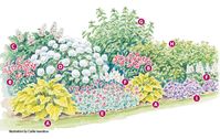 Four-Season Hydrangea Border: Looking for a hydrangea-filled flower border that will look great year-round? Try our four-season garden border plan. Includes a plant list and how-to tips!