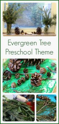 Preschool winter activities that are perfect for an evergreen tree theme!