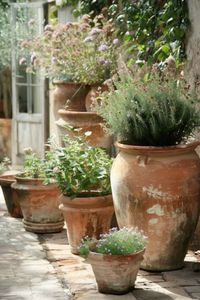 You can never have enough terracotta pots