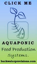 DIY Aquaponics Blog