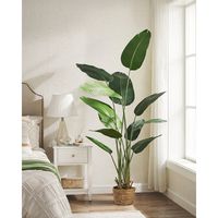 This faux banana leaf fig plant breathes new life into your space with an authentic look - and no watering required. It measures over 5' tall with multiple stems made from artificial materials with a realistic aesthetic. The design features billowing leaves, quintessential to the banana leaf tree, in bright green hues that have a natural aesthetic. We love that it comes in a pot secured into a wicker rattan pot planter for a coastal vibe. | Sand & Stable™ 71" Faux Banana Leaf Tree w / Planter Ba