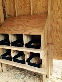 Your ultimate chicken coop plans designs guide