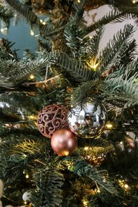 ornament cluster on a tree