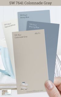 I've found Colonnade Gray to be a reliable partner in design, anchoring spaces with its solid grace. Here, we have SW Bracing Blue, Windy Blue, and Natural white as the trim. The palettes I've paired with it are in my full review, ready to inspire your next project!