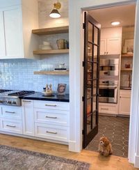 Vivir Design on Instagram: “What can make a tour of a gorgeous home even better? How about having a cute puppers in every single shot?! This home designed by the…”