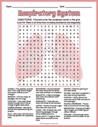 Human Respiratory System Word Search Worksheet by Puzzles to Print | Teachers Pay Teachers