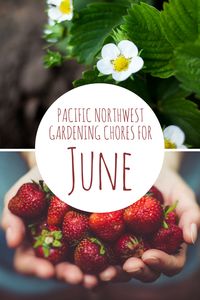 June Gardening Chores For The Pacific Northwest