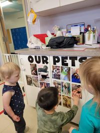 My tods LOVED seeing pictures of all of their classmates' pets. I invited families to send in a picture of a pet they have or a pet that the child sees frequently (like a grandparent's pet). I even put my kitty up! Huge hit for pet week!