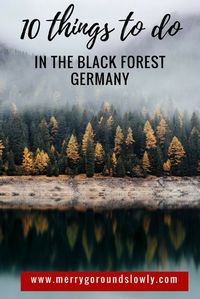 Planning your trip to the Black Forest, Germany? Check out this guide to learn more about Freiburg, Oppenau, Baden Baden, Gengenbach, Triberg waterfall. And remember to taste the Black Forest cake. Autumn in Black Forest / Schwarzwald / Spätzle / Hiking / Hiking Black Forest / Europe #blackforest #oppenau #freiburg #triberg #waterfall