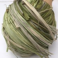 Raffia 150g - Ombré Olive - The Raffia Connection