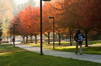 The trees on campus become so vibrant during the fall!!