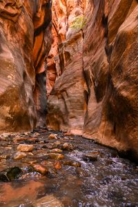 25 Best Hikes in Southern Utah