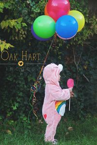 Oak Hart Images Care Bear themed birthday photo 2 year old photo shoot Kid photography Carebears