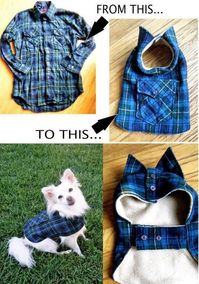 Roupa para cãozinho