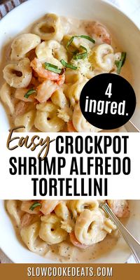 This delicious Crock Pot Shrimp Alfredo tortellini is a guaranteed crowd-pleaser! And the best part? It's super easy to make! This creamy, cheesy dish features the classic Alfredo sauce combined with shrimp and tortellini that's cooked right in the pot. You'll have a hearty, hearty dinner ready with only 4 ingredients and slow cooker!