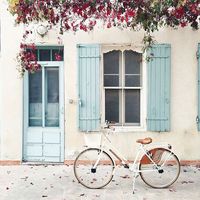 Peonies and Orange Blossoms: Building the French Farmhouse - a study of French shutters