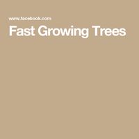 Fast Growing Trees