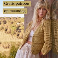 Gratis patroon vest