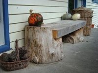 Tree stump bench...