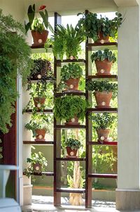 Vertical garden 2