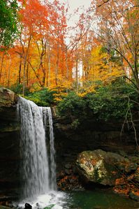 The fall equinox is about finding balance and manifesting abundance. This time of equal day and night is marked by the peak of harvest season, which can be interpreted as the physical harvest of food or the energetic harvest of the fruits of your spiritual labor.