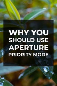 If you're still confused about manual mode, you should definitlely consider using aperture priority mode (also known as "AV" or "A") on the camera. It's much faster to operate and it's great for improving your photo creativity. #aperture #photographytechniques #cameratips