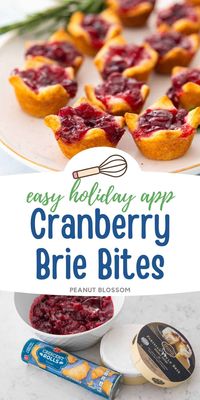 Cranberry Brie Bites