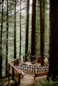 A magical wedding ceremony set up in the woods | Image by Dionne Krauss Photography