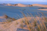 Visitors can camp, hike, picnic, horseback ride, and birdwatch from observation areas overlooking oases in the middle of the dry landscape.