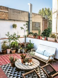 Thriving Olive Trees and Bands of Succulents Call This Barcelona Outdoor Space Home