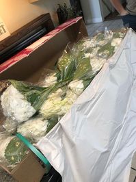 Sams Club Bulk Floral total Review- Delivery to wedding day! (photos included) | Weddings, Do It Yourself | Wedding Forums | WeddingWire