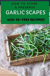 How to Store Garlic Scapes (Plus 16 Free Recipes) - Binky's Culinary Carnival